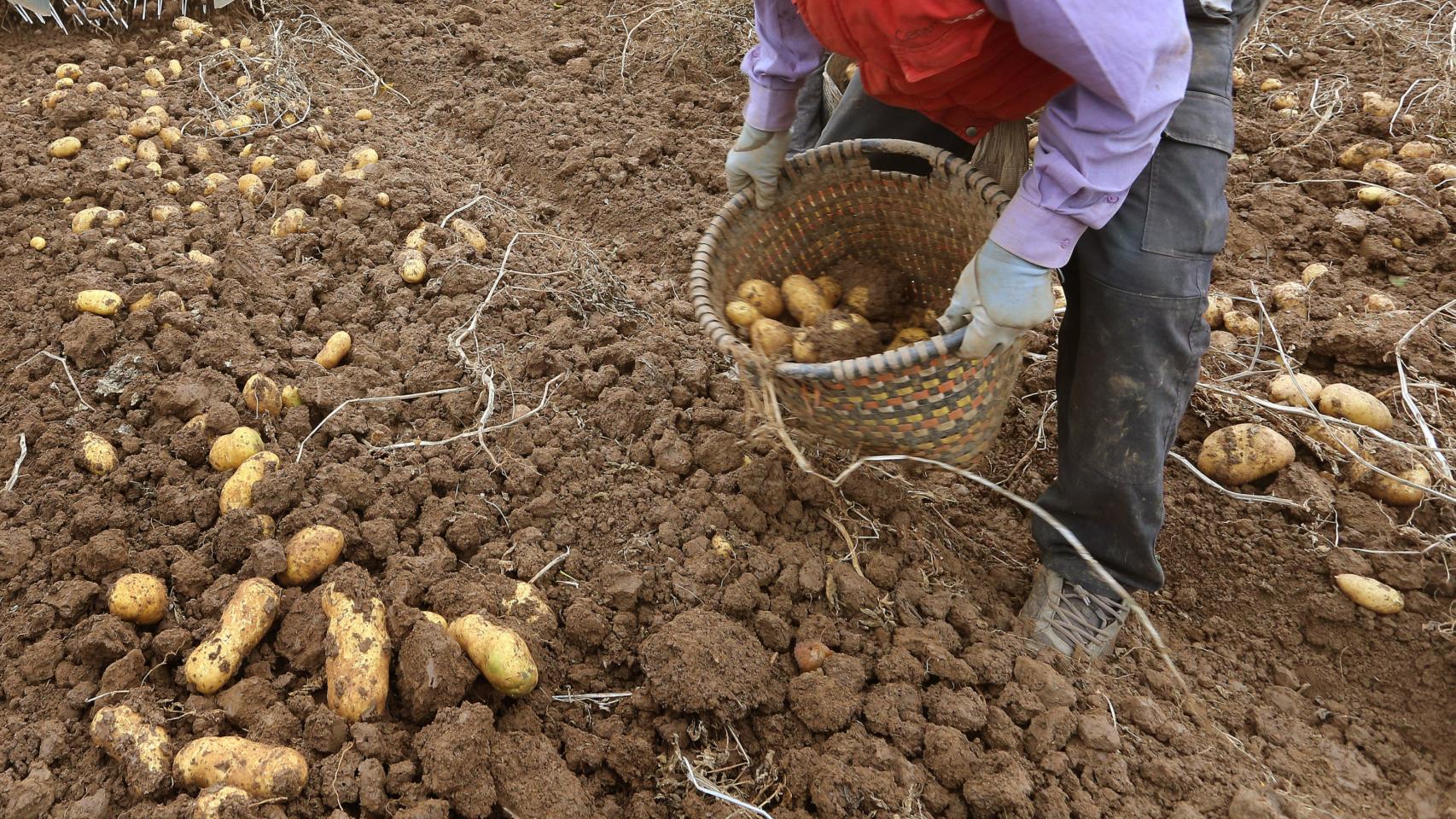 Imagen de archivo de un agricultor en Palencia