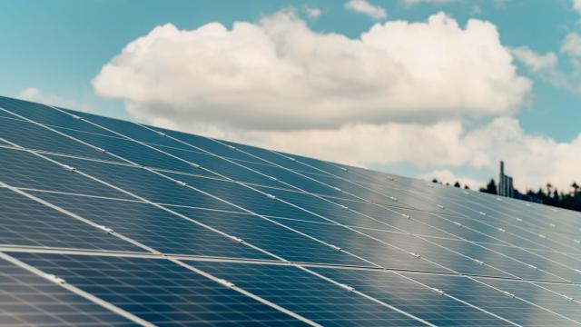 Paneles solares fotovoltaicos.