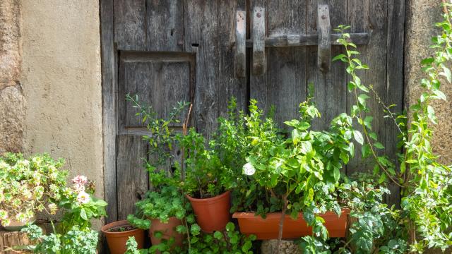 La sostenibilidad triunfa en casa y el resto de tendencias le siguen.