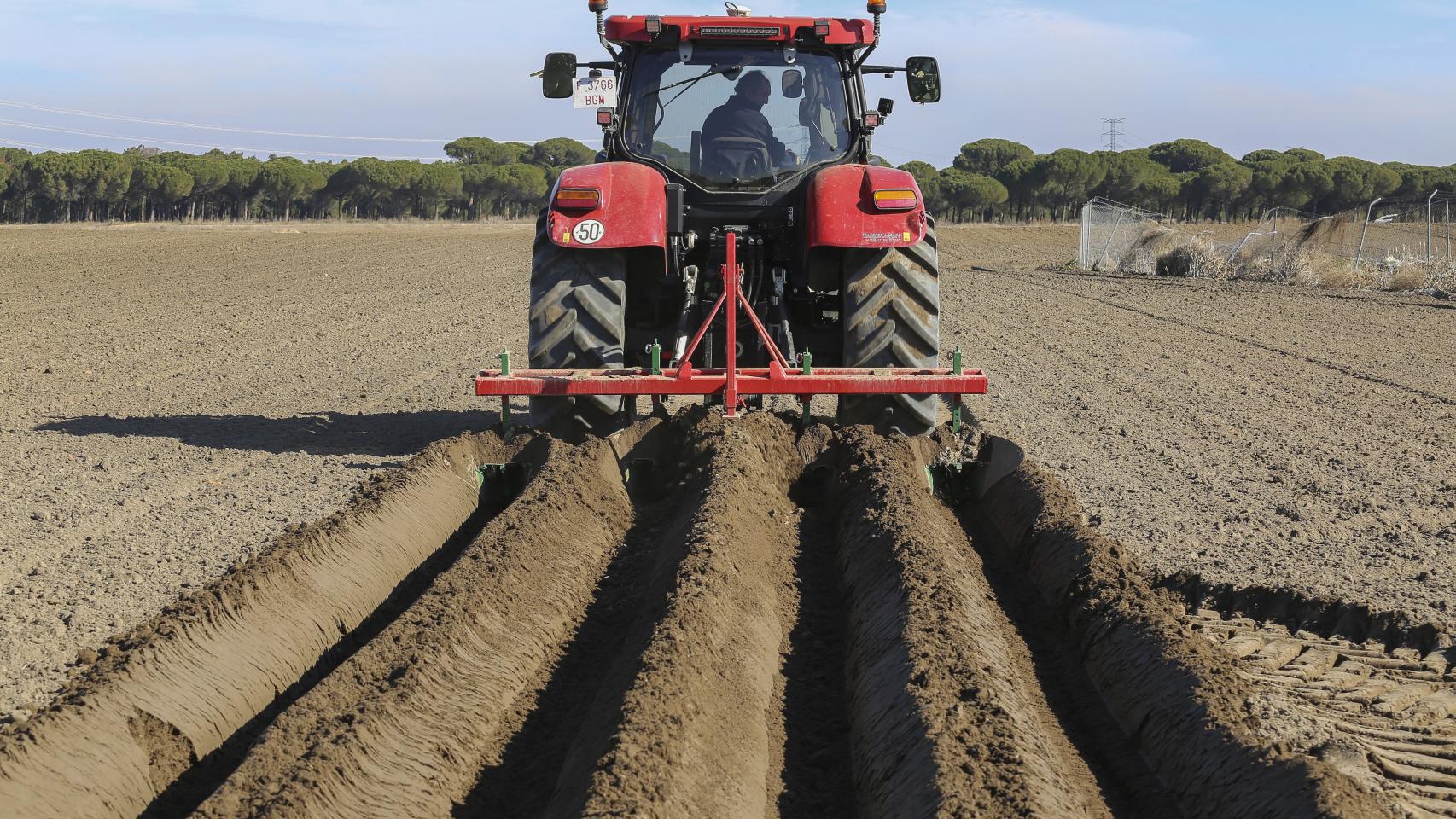 Un agricultor de Castilla y León.