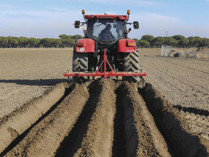Un agricultor de Castilla y León.