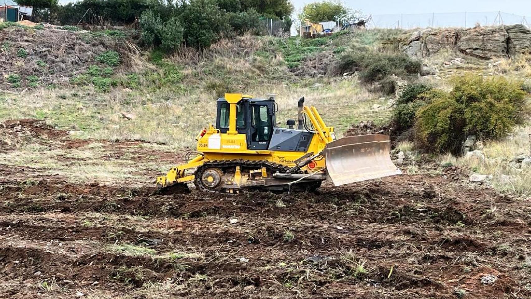 Imagen de unas obras de reforestación en Zamora.