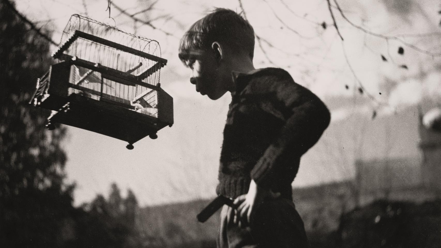 Mey Rahola. Sin título [Albert Xirau con un pájaro], 1932-1936. Archivo Mey Rahola