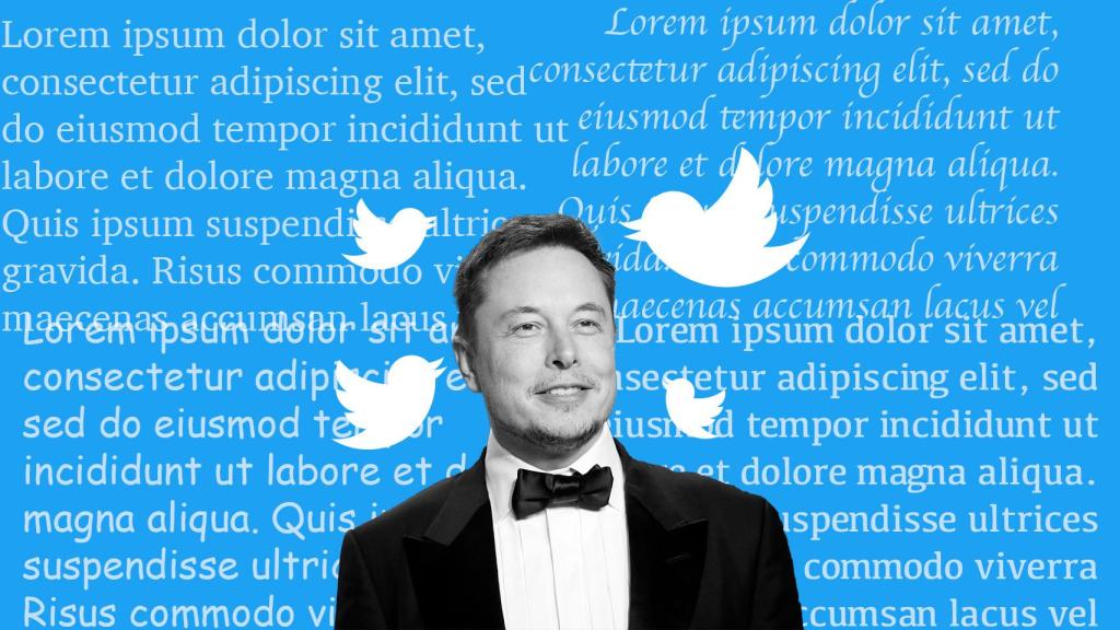 Elon Musk en un fotomontaje.