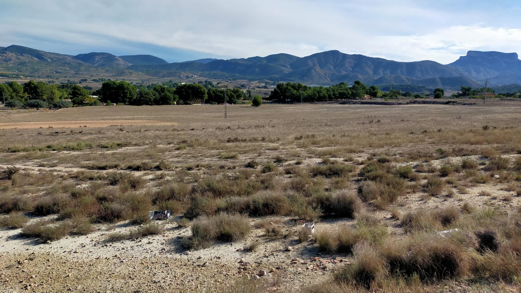Terrenos de Elda donde se ubicará la planta solar.