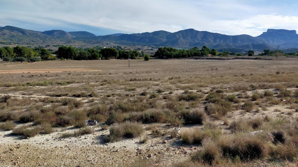 Terrenos de Elda donde se ubicará la planta solar.