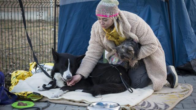Natalya, refugiada ucraniana, fotografiada con sus dos perros Key (izquierda) y Lala (derecha) en el paso fronterizo de Medyka, Polonia.