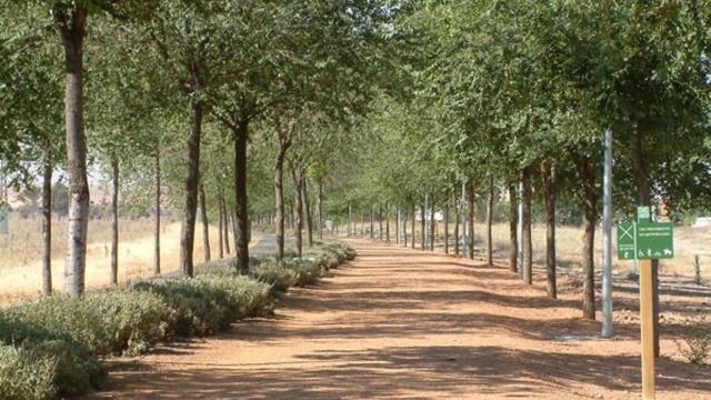 Vía verde de Ciudad Real. Foto: Ayuntamiento de Ciudad Real.