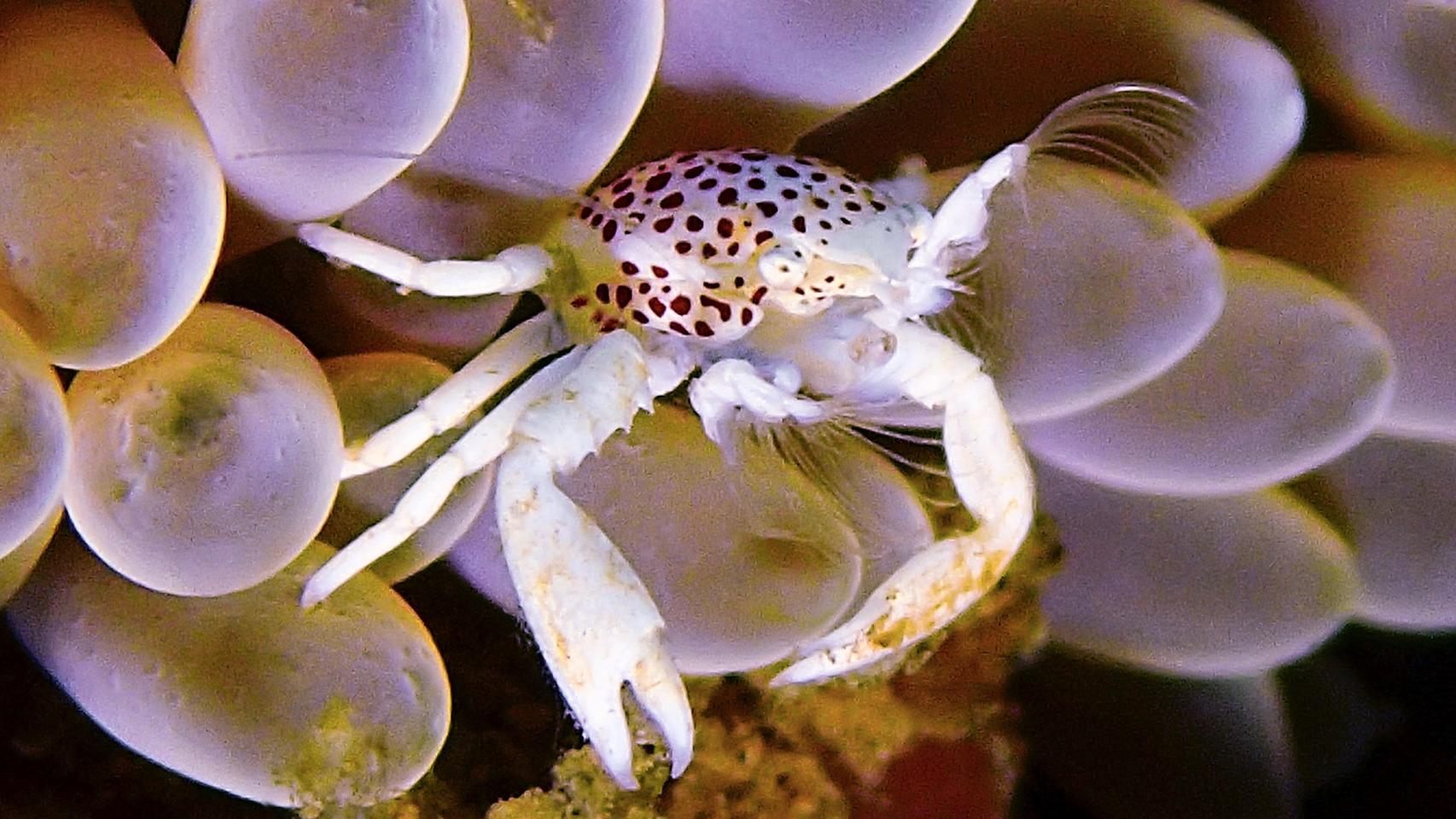 La fotógrafa del mar en blanco 4