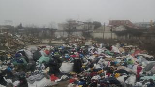 WhatsApp Image 2023-01-12 at 12.45.09