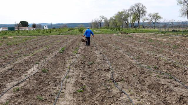 Oleada de robos en explotaciones agrarias de Ciudad Real: Estamos desesperados