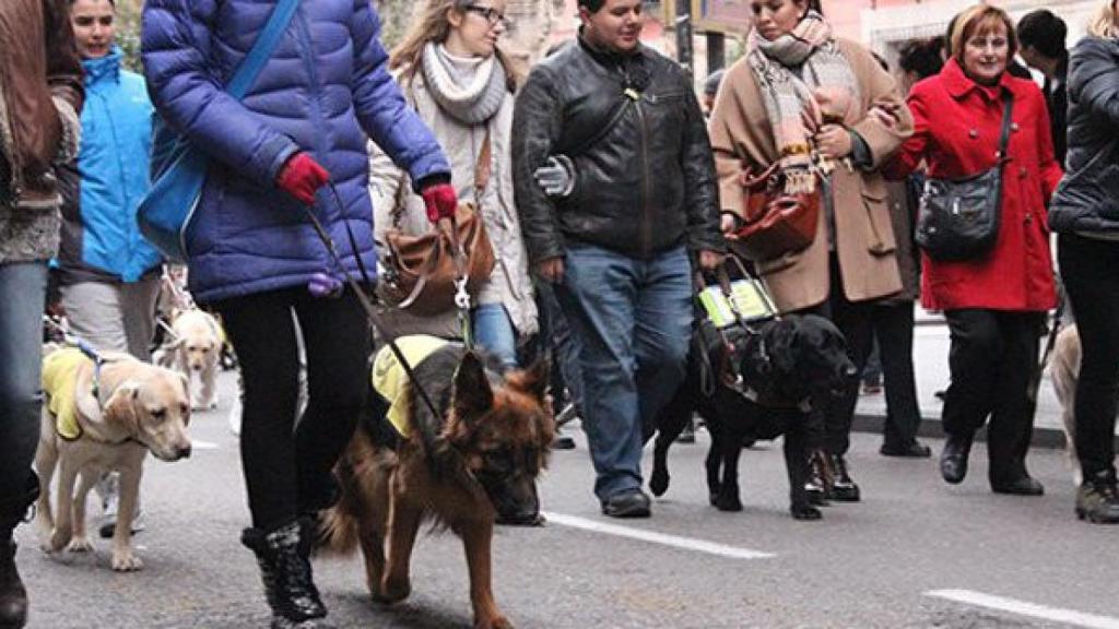 Fiestas de San Antón: las calles afectadas por el desfile de animales en Madrid