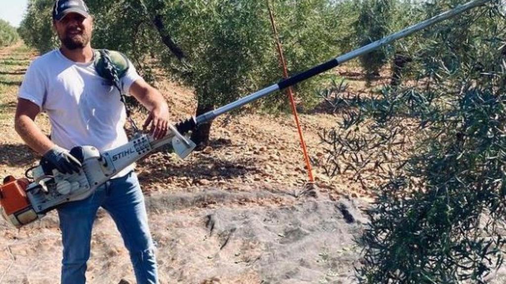 El agricultor cordobés, en los trabajos previos a la cosecha de la aceituna.