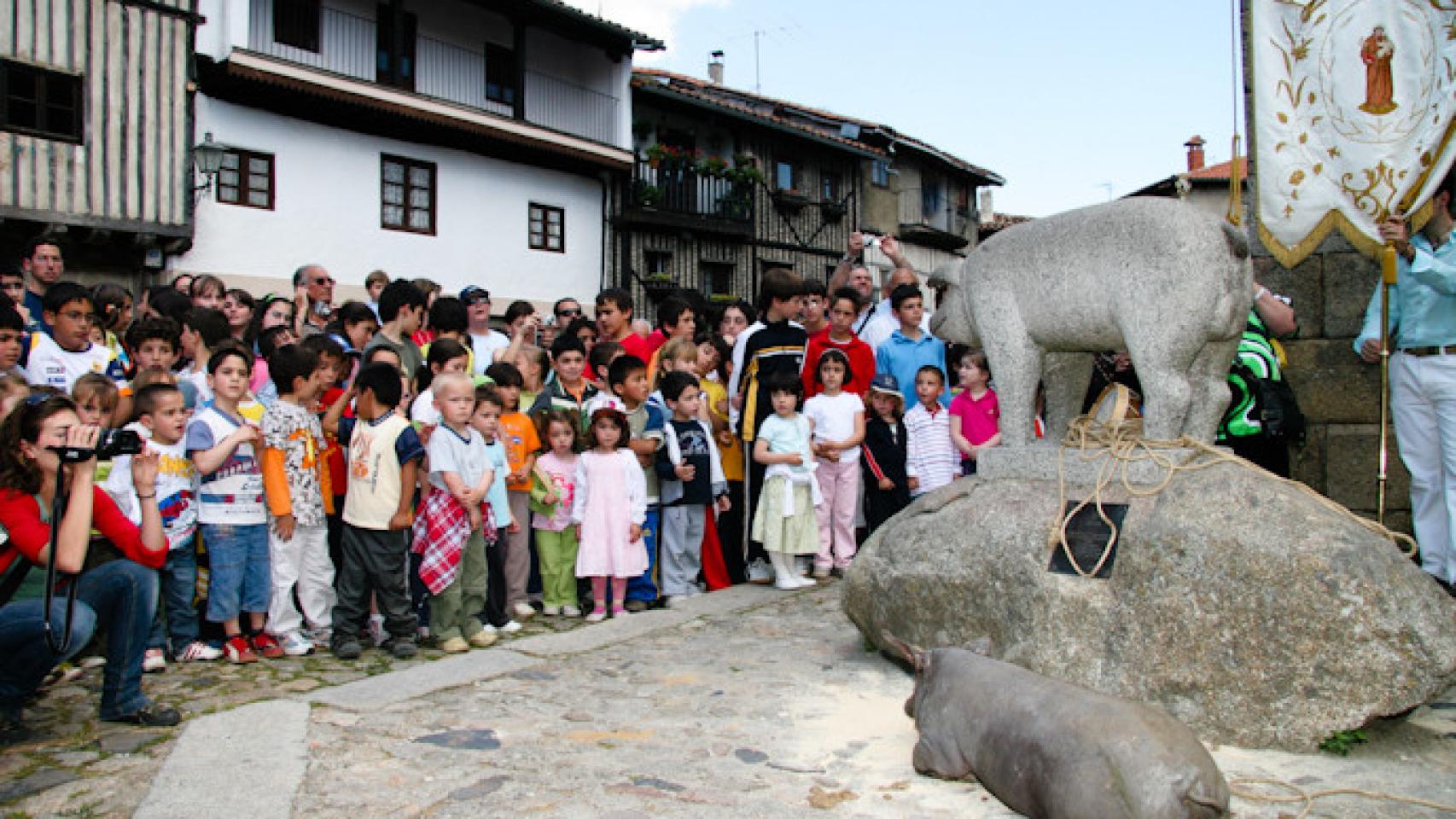 El 'marrano de San Antón' de La Alberca, todo un personaje