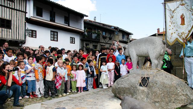 El 'marrano de San Antón' de La Alberca, todo un personaje