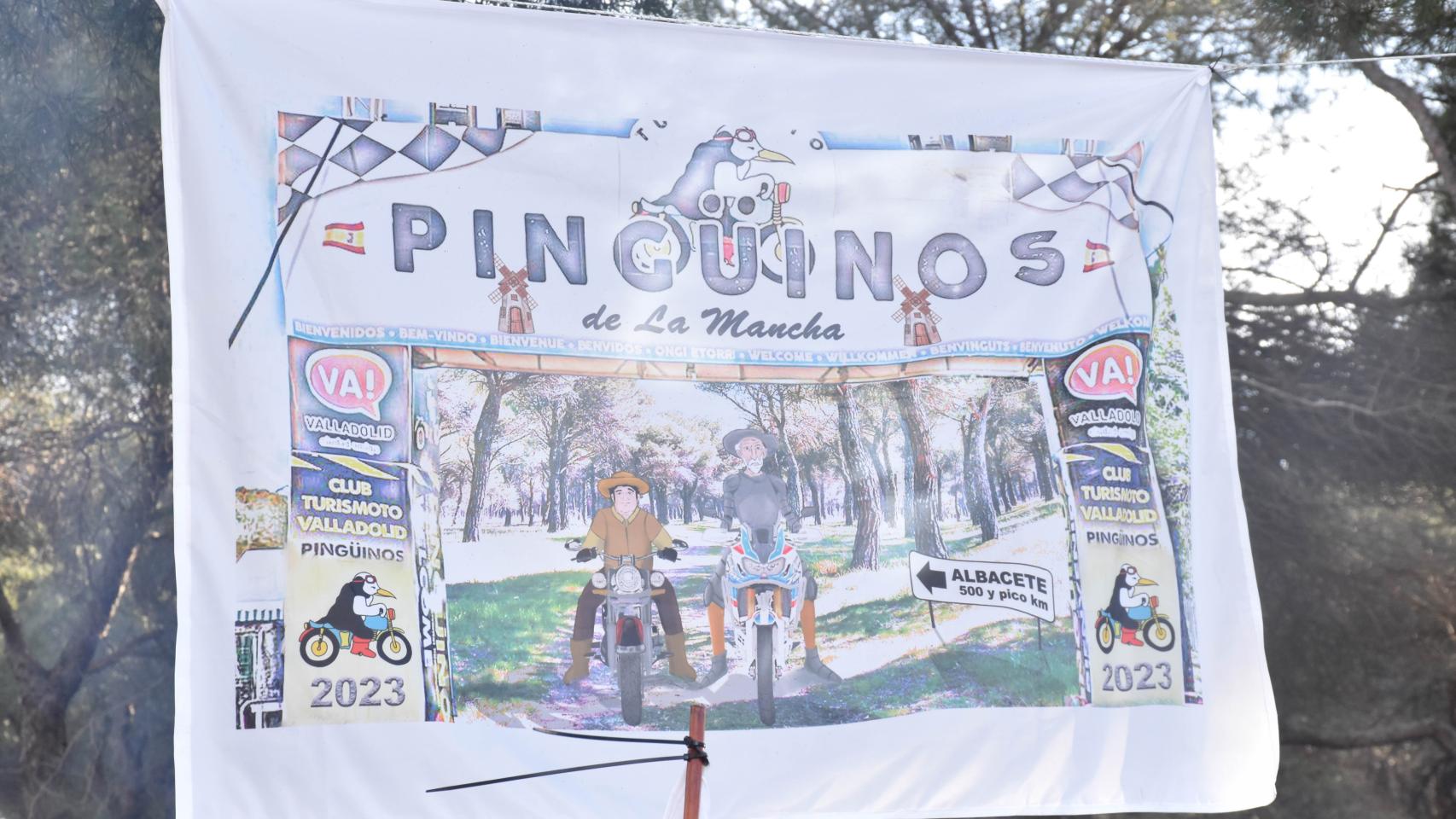 Un paseo por Pingüinos