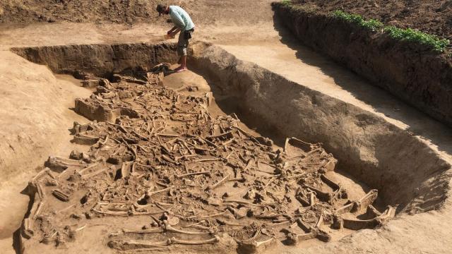 Imagen de la fosa común de hace 7.000 años hallada en Eslovaquia. Foto: Martin Furholt (Universidad de Kiel)
