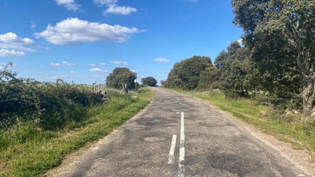 Carretera entre Fariza y Mámoles