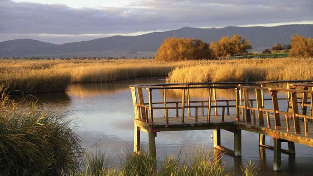 Tablas de Daimiel.
