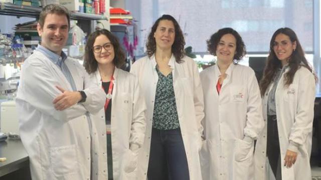 José Javier Fuster, Marta Amorós Pérez, Nuria Matesanz, María Ángeles Zuriaga, Alejandra Aroca Crevillén.
