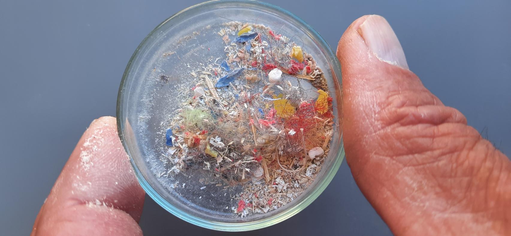 Muestra de unos microplásticos