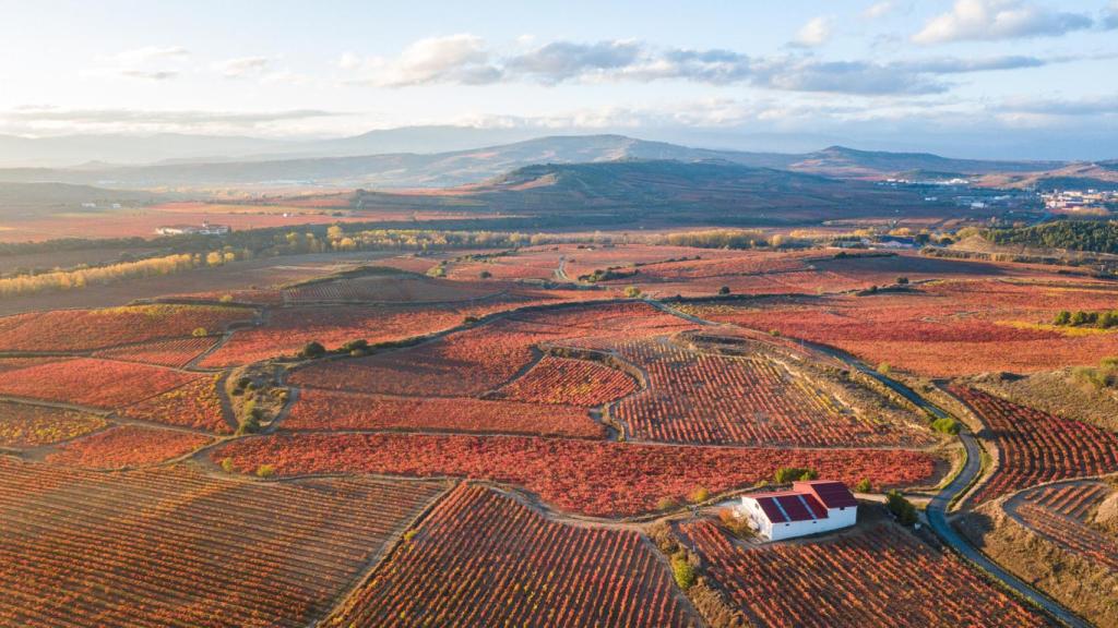 En estos pueblos de España encontrarás el mejor vino