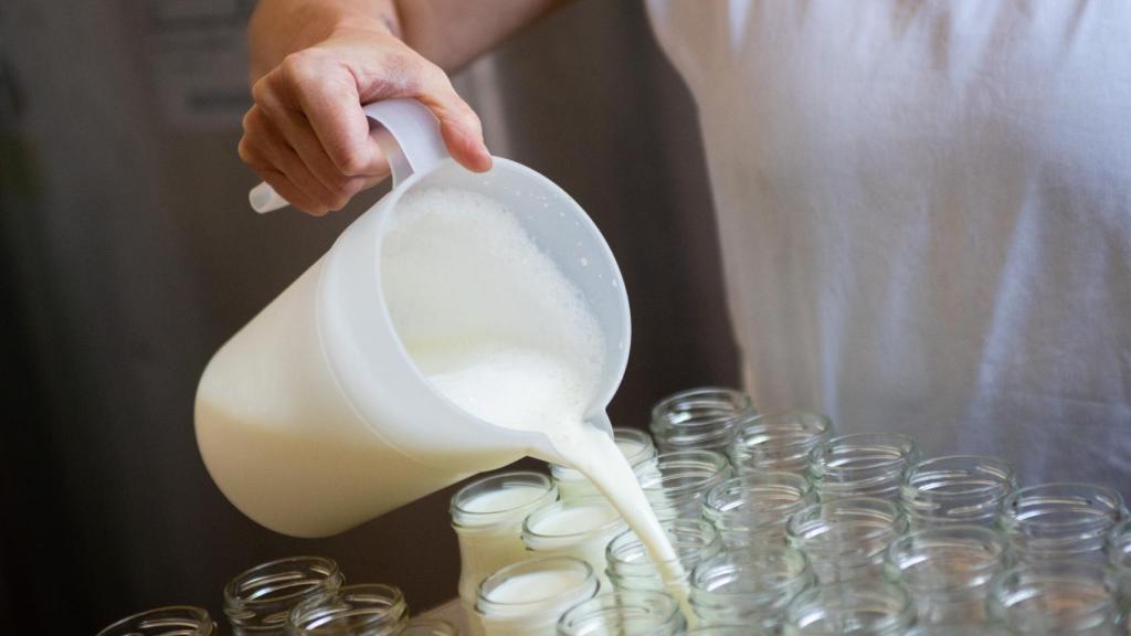 Raquel Arranz trabajando la leche