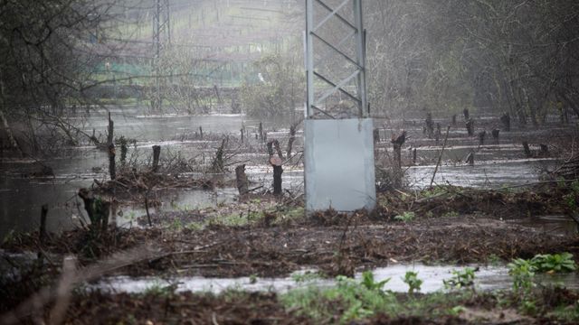 El río Lérez a su paso por Ponte Bora, a 16 de enero de 2023, en Pontevedra.