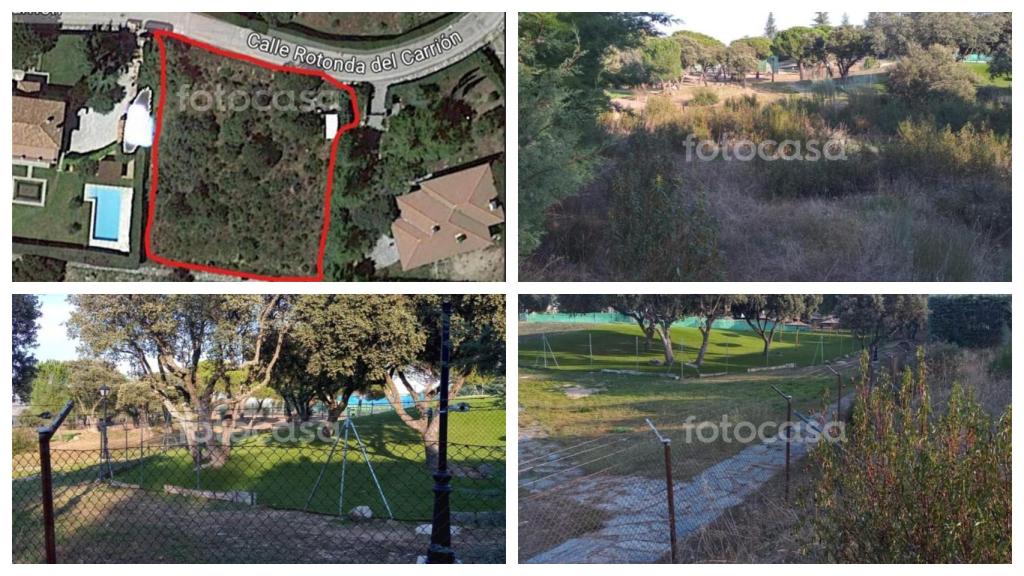Imágenes de la parcela que vende Belinda Washington en Valdemorillo.