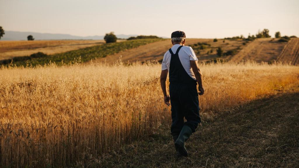 Un agricultor paseo por sus cultivos