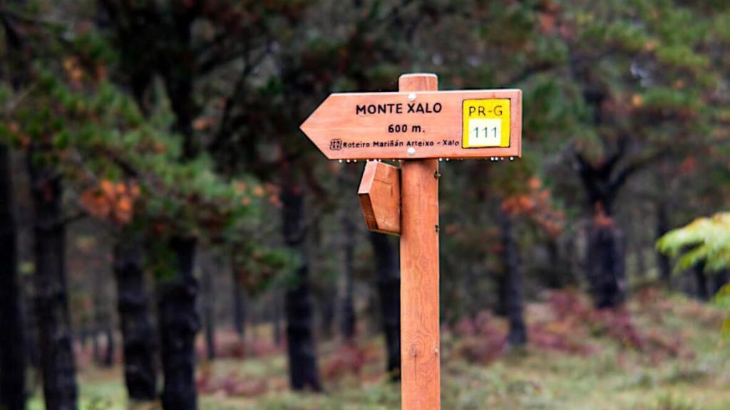 Monte Xalo, en el límite entre los términos de Culleredo y Cerceda