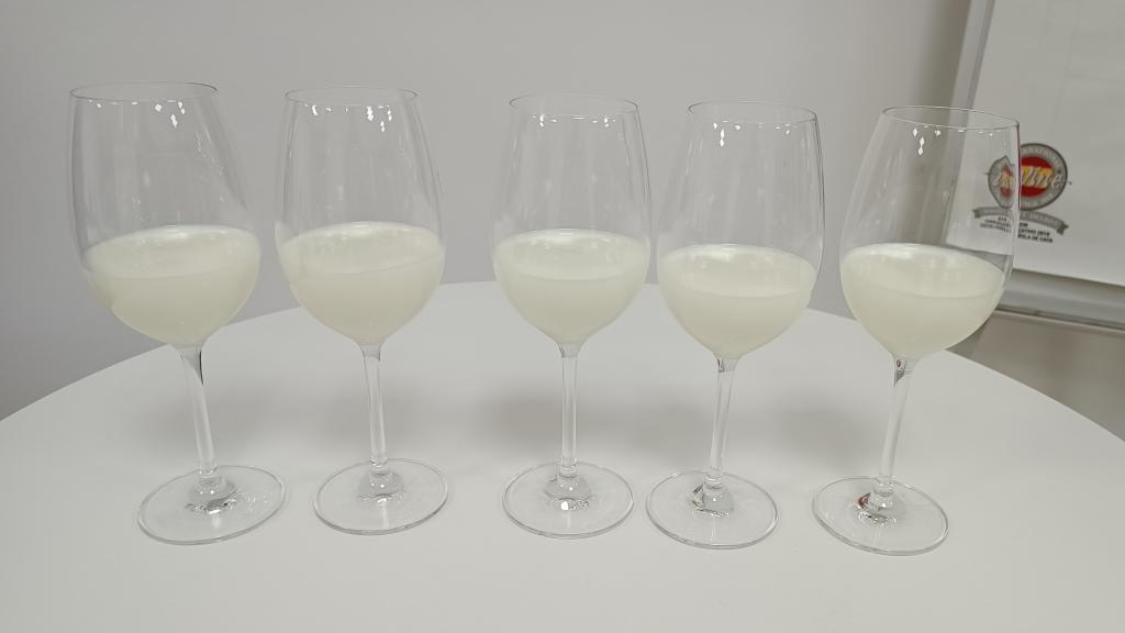 Las cinco copas con las leches desnatadas de los supermercados antes de iniciar la cata.