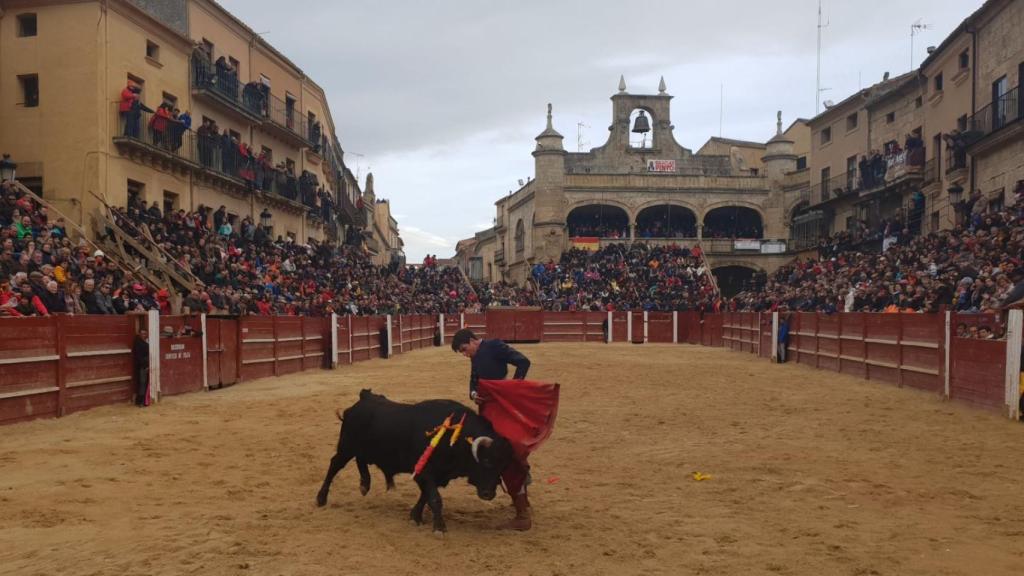 Celebración de un festival taurino durante el Carnaval del Toro