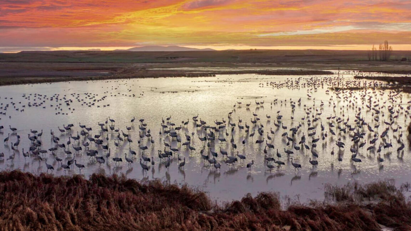Las Lagunas del Oso, en Ávila.