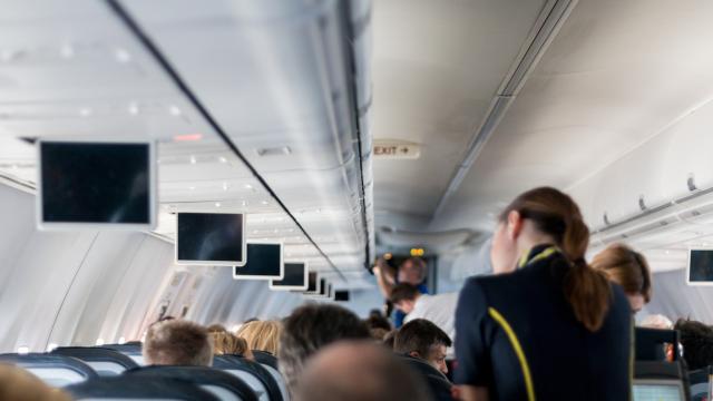 Una azafata o un torero pertenecen a una profesión de riesgo y un policía nacional o guardia civil: ¿Por qué?