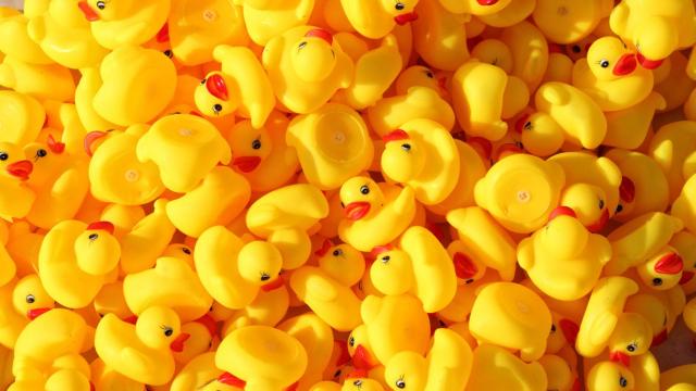 Adoración a un pato de goma: el santuario más loco de Lavapiés es de entrada gratuita