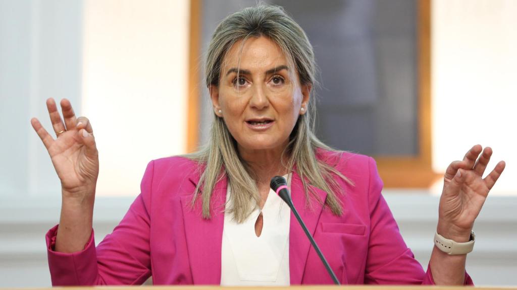 Milagros Tolón