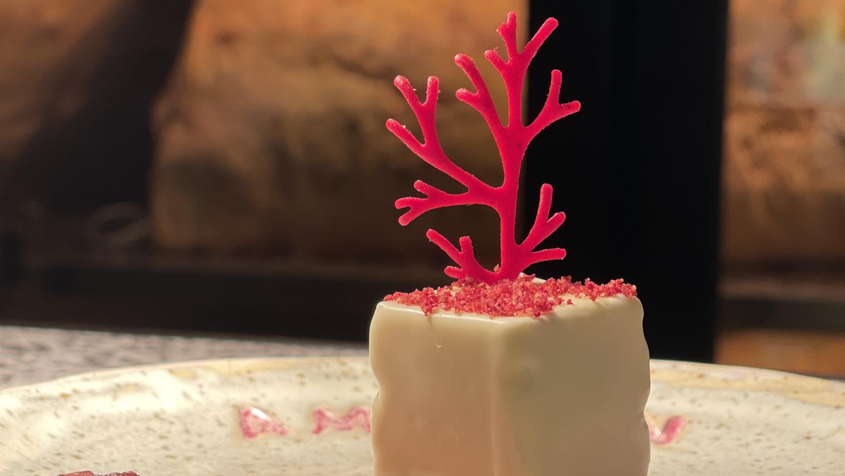 Cuatro recetas compiten por ser la mejor forma creativa de aprovechar la granada de Elche.