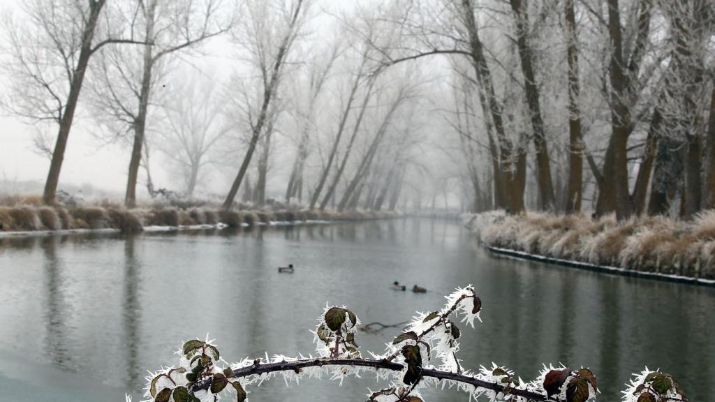Canal de Castilla a su paso por Medina de Rioseco (Valladolid)