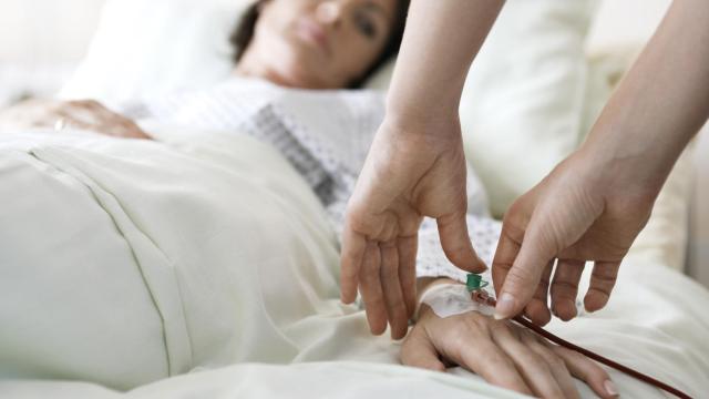 El Hospital La Fe de València, el segundo con mayor número de trasplantes en 2022