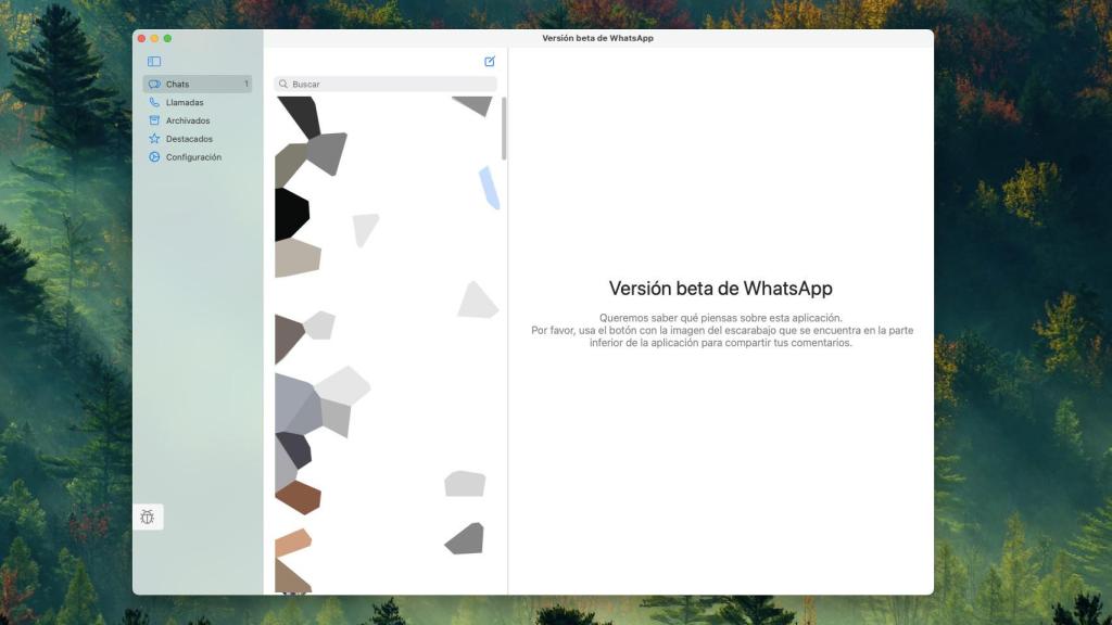 Nuevo WhatsApp.