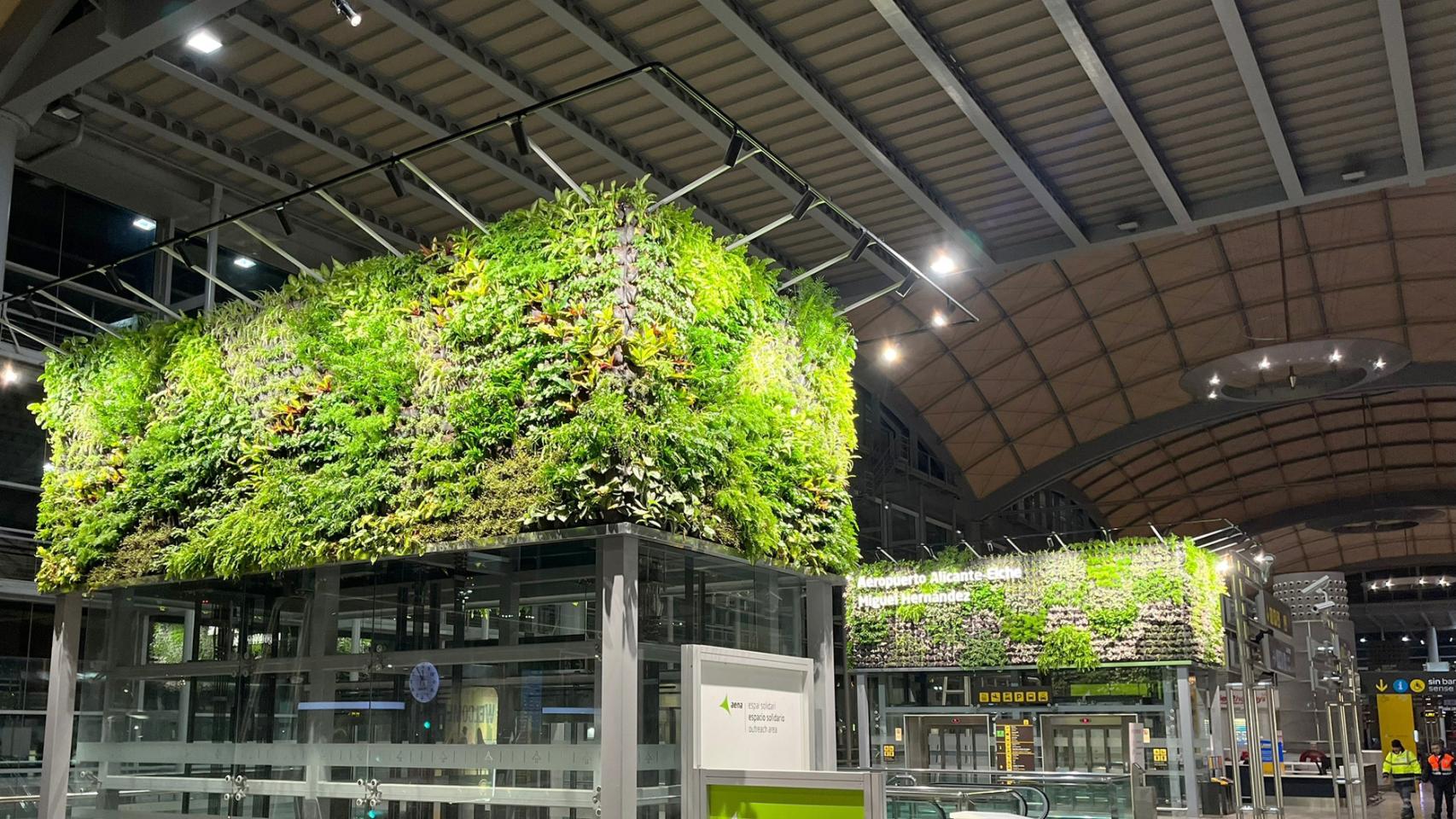 Jardines verticales instalados en el aeropuerto de Alicante.