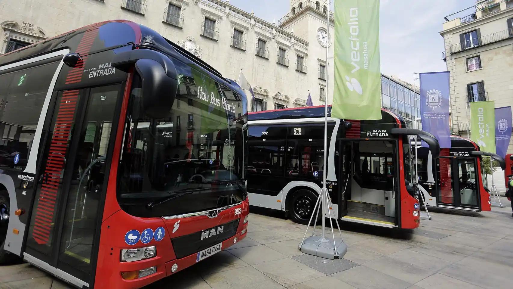 Autobuses urbanos de Alicante, en una imagen de archivo.
