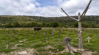 Imagen del Cementerio de Sad Hill, en el límite de Santo Domingo de Silos (Burgos).