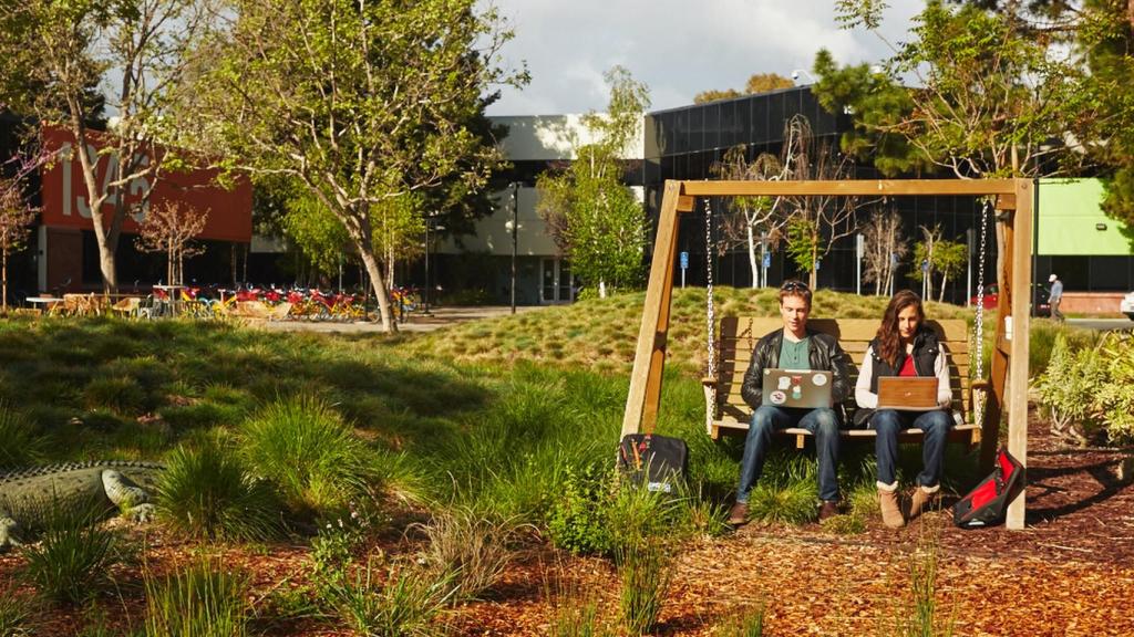 Trabajadores de Google en un columpio.