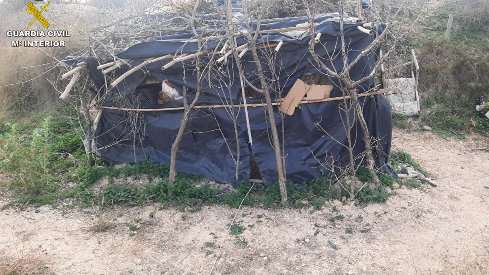 La cabaña desde la que el hombre vigilaba a las aves para después capturarlas.