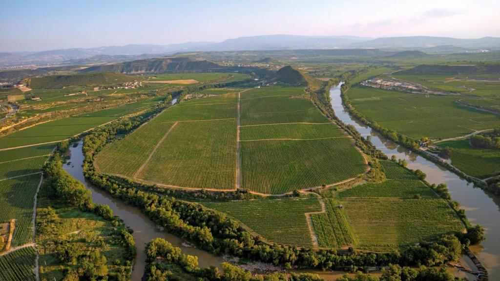 La historia de Bodegas LAN y sus dos vinos estrella: Viña Lanciano y Culmen
