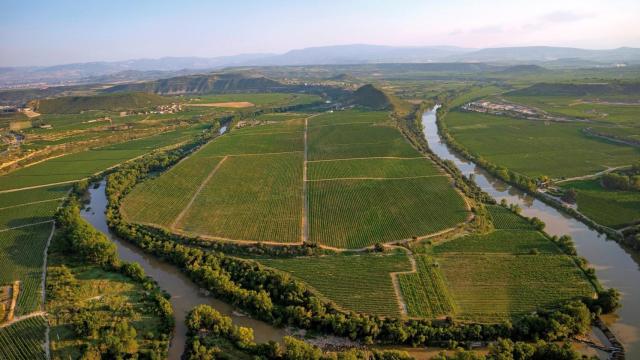 La historia de Bodegas LAN y sus dos vinos estrella: Viña Lanciano y Culmen