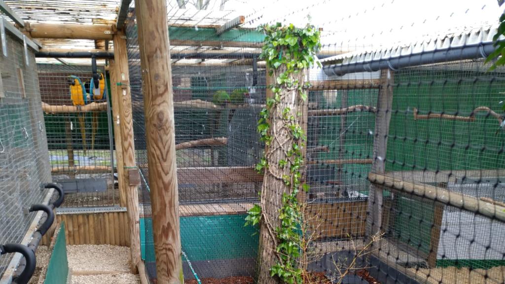 Espacio donde Emilio tiene sus aves.