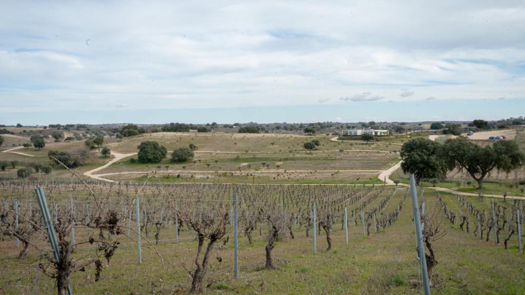 Imagen panorámica del terreno de Recordarium.